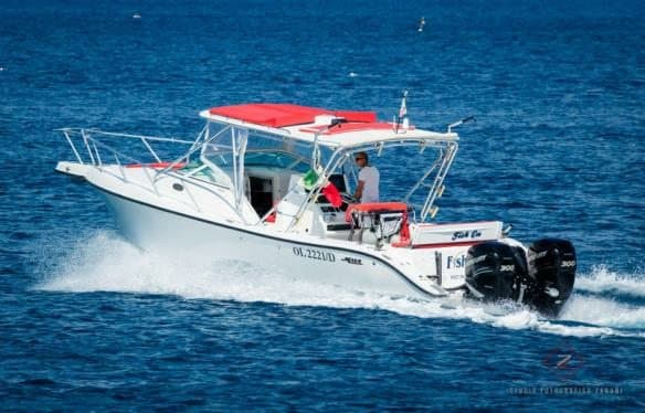 Mako 33 "Fish On" — image 1