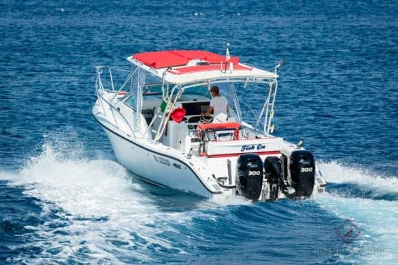 Mako 33 "Fish On" — image 2
