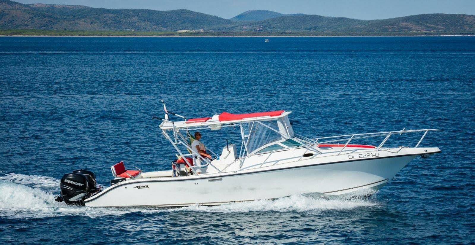 Mako 33 "Fish On" — image 3